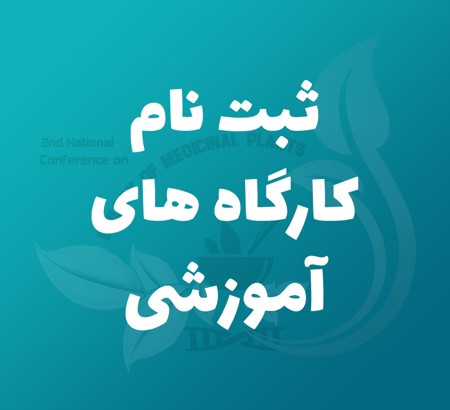 کارگاه‌های آموزشی در حاشیه کنفرانس